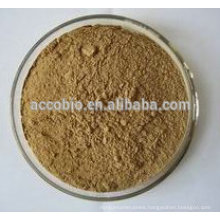 100% Natural Hedera Helix Extract Powder / Hederagenin 5% 10% 20%, Ivy leaf extract